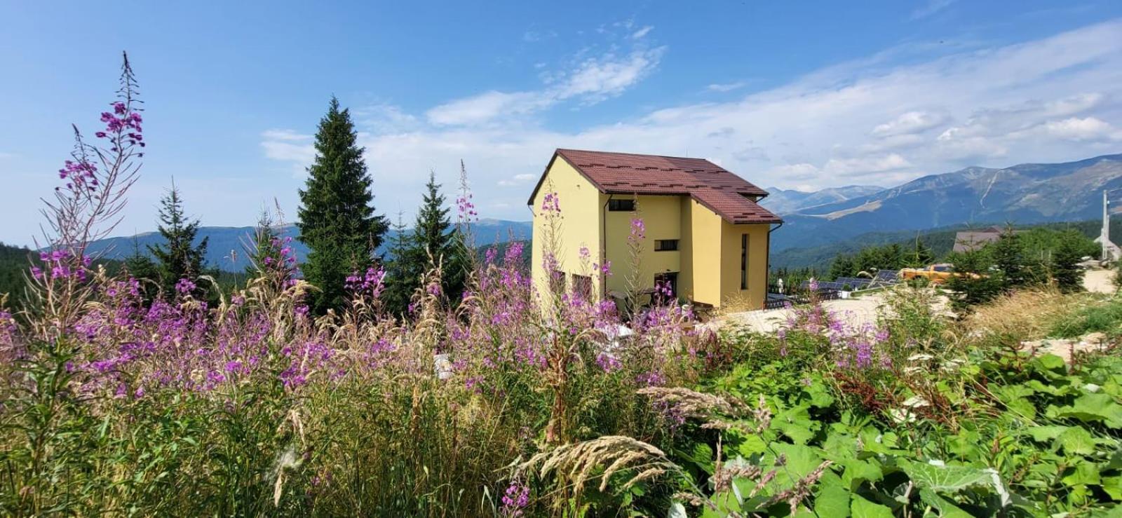 Pension Valea Mariei รานกา ภายนอก รูปภาพ