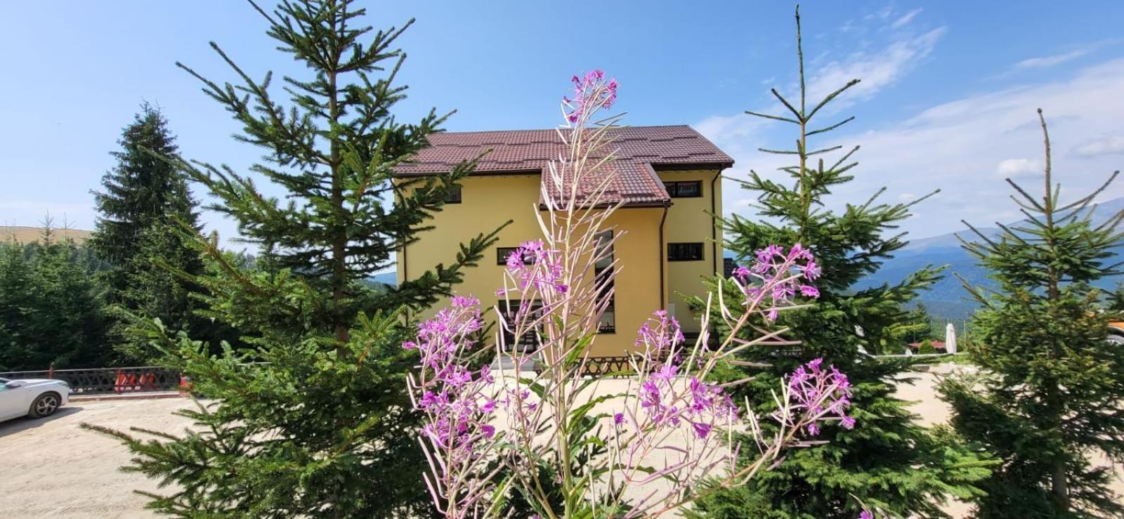 Pension Valea Mariei รานกา ภายนอก รูปภาพ